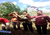 Bank Sumsel Babel Kucurkan Rp4,2 M Bagi Kebun Singkong Rakyat (KSR)